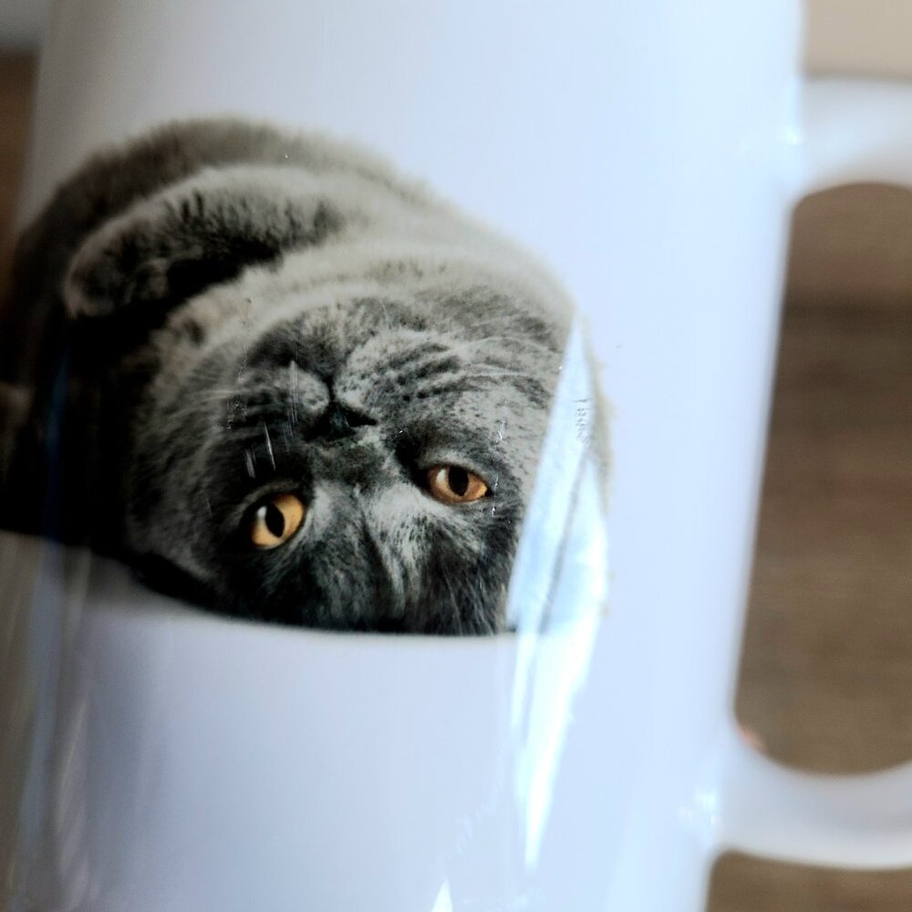 ''The best therapist has fur and four legs'' cat mug. - Picture 7 of 7
